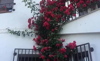 Casa Rural Al Alba en Lanzahita (Ávila) - Foto 2