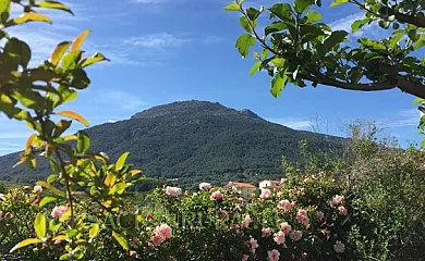 Casa Rural Al Alba en Lanzahita (Ávila) - Foto 20