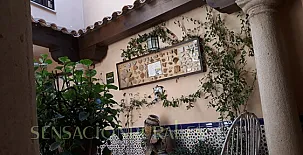 Alojamientos turísticos Toledo Mágico 002