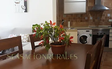 Alojamientos turísticos Toledo Mágico en Toledo [Ciudad] (Toledo) - Foto 12