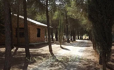 La Lagunilla-Golf en El Bonillo (Albacete) - Foto 7