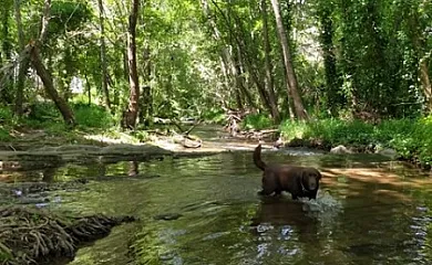 Casa rural Nacimiento del hueznar en San Nicolas Del Puerto (Sevilla) - Foto 25