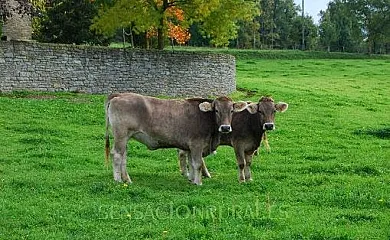 Mas Casalliques en Rupit i Pruit (Barcelona) - Foto 15