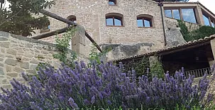 Hotel Hort de Fortunyo 003