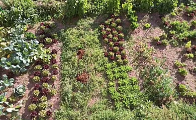 Cal Xesc en Castellar de N´Hug (Barcelona) - Foto 10