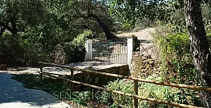 Finca El Carrascal 004