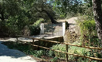 Finca El Carrascal en Almonaster La Real (Huelva) - Foto 4