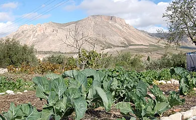 La Casa Viva en Vélez Blanco (Almería) - Foto 18