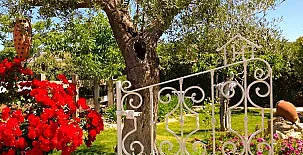 Casa Rural Superior Finca la Herencia 0011