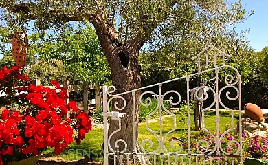 Casa Rural Superior Finca la Herencia en Guadalcanal (Sevilla) - Foto 11