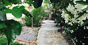 Casa Rural Superior Finca la Herencia 0016