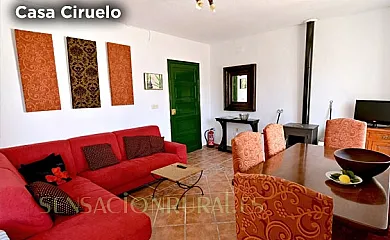 Casitas de la Sierra en Montejaque (Málaga) - Foto 24
