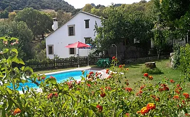 Molino La Catedral en Grazalema (Cádiz) - Foto 12