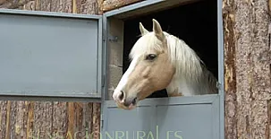 Molino Castilpelayo 005