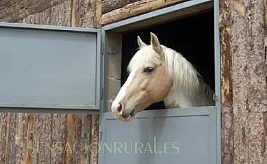 Molino Castilpelayo en Gascueña de Bornova (Guadalajara) - Foto 5