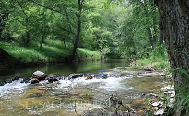 Molino Castilpelayo en Gascueña de Bornova (Guadalajara) - Foto 16