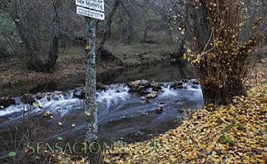 Molino Castilpelayo en Gascueña de Bornova (Guadalajara) - Foto 17