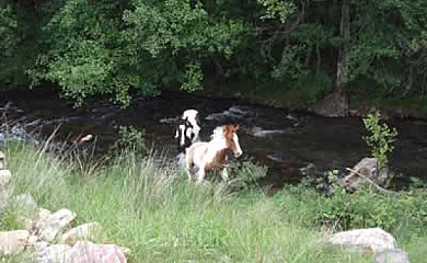 Molino Castilpelayo en Gascueña de Bornova (Guadalajara) - Foto 21