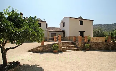 Venta del Rey en Jimera de Libar (Málaga) - Foto 2