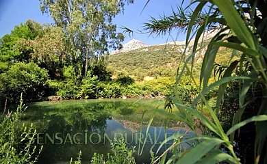 Venta del Rey en Jimera de Libar (Málaga) - Foto 11