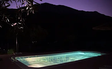 Venta del Rey en Jimera de Libar (Málaga) - Foto 12