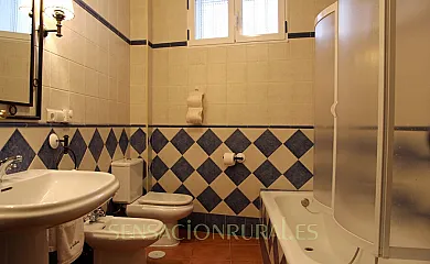 Botica Gomelia en Gumiel de Izan (Burgos) - Foto 8