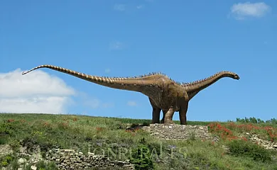 Casa Rural Ruta de las Fuentes en Fuentes de Magaña (Soria) - Foto 23