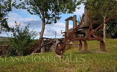 A Porteliña en Covelo (Pontevedra) - Foto 6