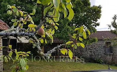 A Porteliña en Covelo (Pontevedra) - Foto 10