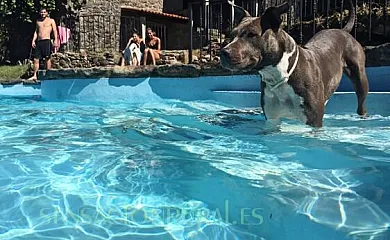 A Porteliña en Covelo (Pontevedra) - Foto 11