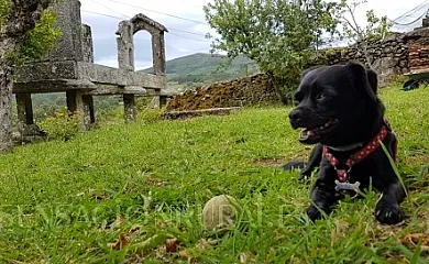 A Porteliña en Covelo (Pontevedra) - Foto 12