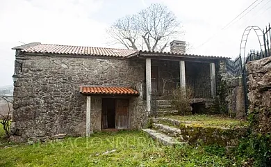 A Porteliña en Covelo (Pontevedra) - Foto 15