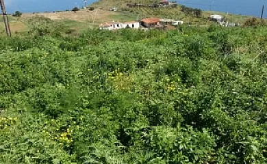 Vivienda Vacacional el Molino en Puntallana (Santa Cruz de Tenerife) - Foto 19