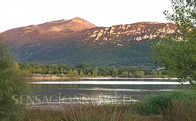 El Hayedo del León Dormido en Marañón (Navarra) - Foto 9
