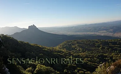 El Hayedo del León Dormido en Marañón (Navarra) - Foto 13