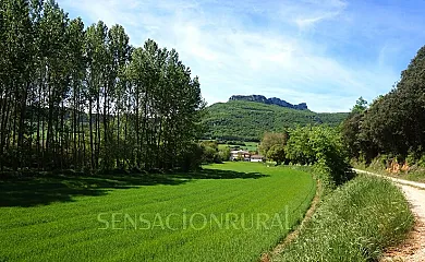 El Hayedo del León Dormido en Marañón (Navarra) - Foto 16