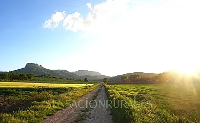 El Hayedo del León Dormido en Marañón (Navarra) - Foto 18