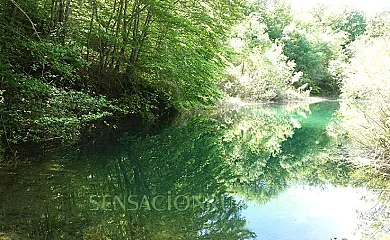 El Hayedo del León Dormido en Marañón (Navarra) - Foto 19