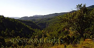 Casa de Campo Laldeta 003