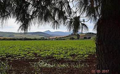 Poza Fría en Villamartin (Cádiz) - Foto 14