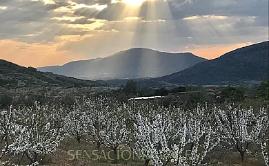 LA SEGUIRILLA en Casas Del Castañar (Cáceres) - Foto 16