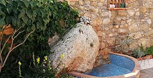 El Capricho de Rosa 003