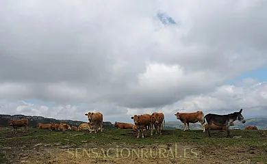 LA HIRRIRIÁ en San Roque de Riomiera (Cantabria) - Foto 16