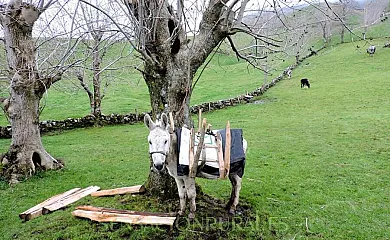 LA HIRRIRIÁ en San Roque de Riomiera (Cantabria) - Foto 18