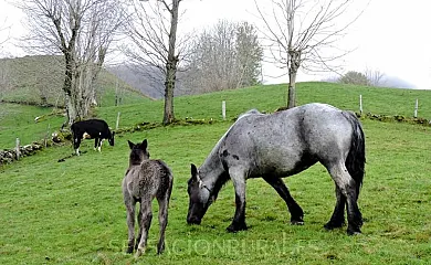 LA HIRRIRIÁ en San Roque de Riomiera (Cantabria) - Foto 19