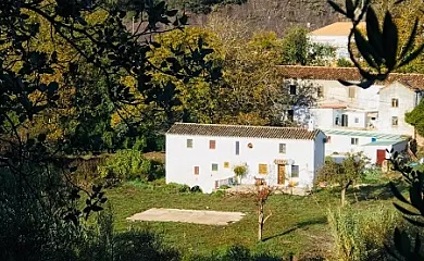 Molino de Simón en Benaojan (Málaga) - Foto 11