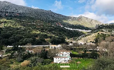Molino de Simón en Benaojan (Málaga) - Foto 18