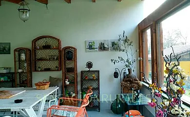 La Casa Encantada en Solorzano (Cantabria) - Foto 11