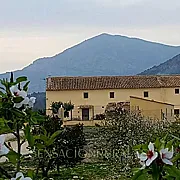 Casa Marsilla 001