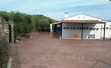 Las Calveras en La Puebla de los Infantes (Sevilla) - Foto 5